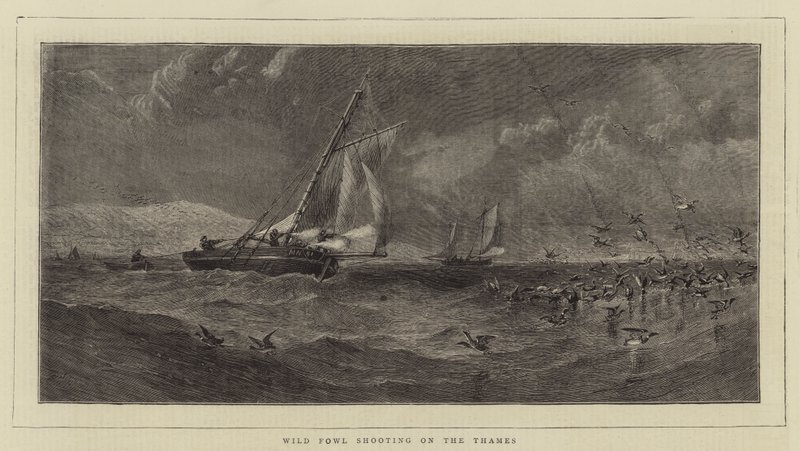 Chasse aux oiseaux sauvages sur la Tamise (gravure) - English School