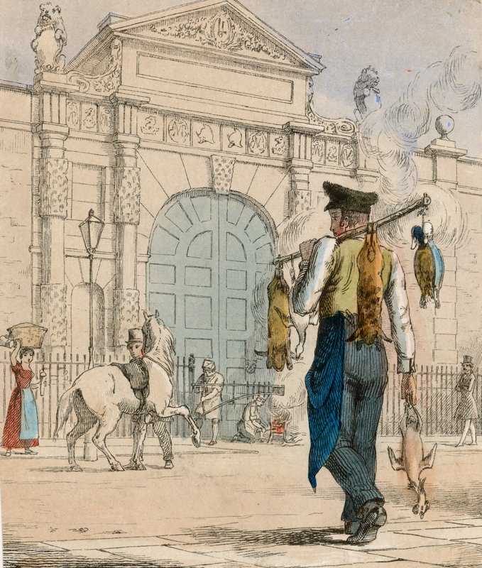 Canard sauvage, lapin et volaille - English School
