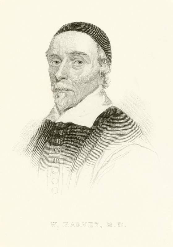 William Harvey - English School