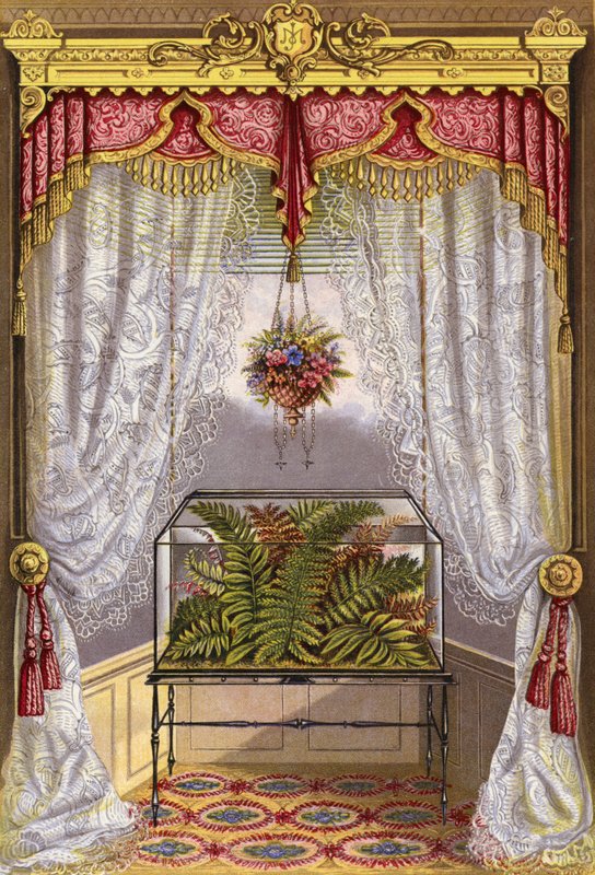 Décoration de fenêtre - English School