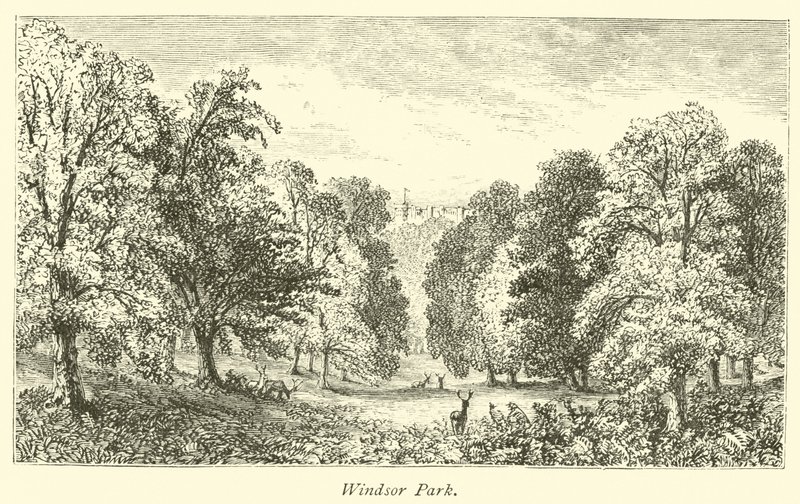 Parc de Windsor - English School