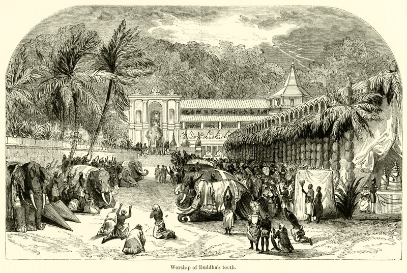 Adoration de la dent de Bouddha - English School