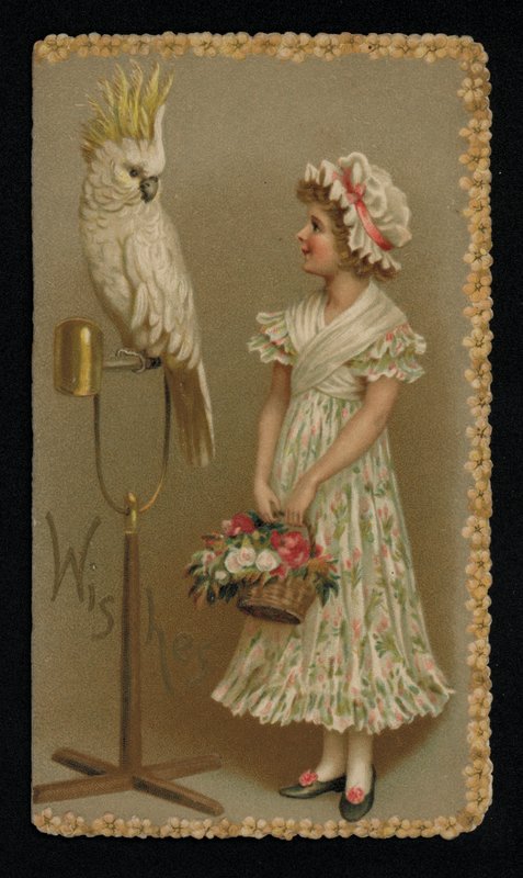 Jeune femme avec un cacatoès blanc, carte de vœux - English School