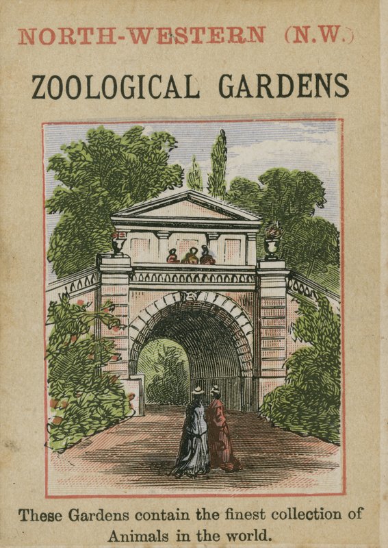 Jardins zoologiques - English School