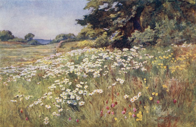 Soleil dans les prairies - Ernest Benger or Berenger