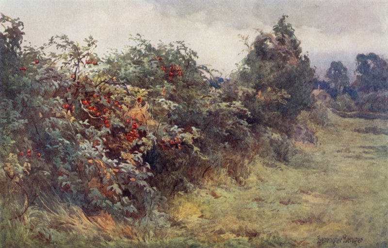 La Révélation de la maturité - Ernest Benger or Berenger