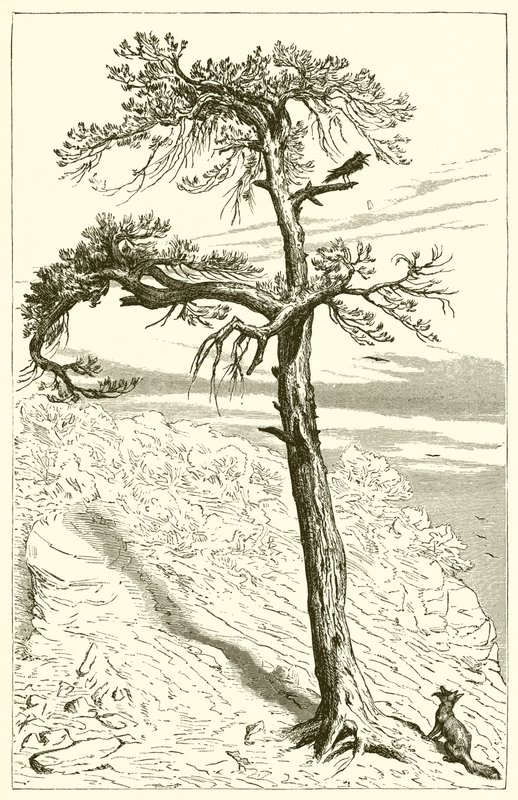 Le Renard et l