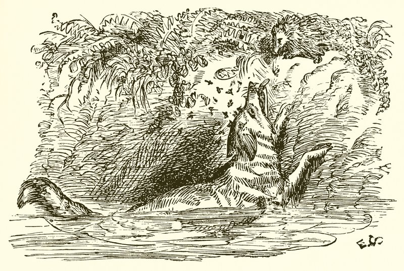 Le Renard et le Hérisson - Ernest Henry Griset