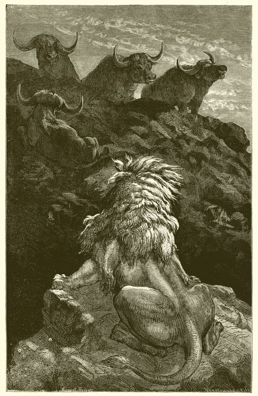 Le Lion et les quatre taureaux - Ernest Henry Griset