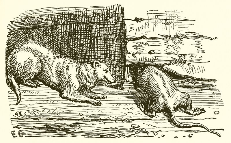 La Souris et la Belette - Ernest Henry Griset
