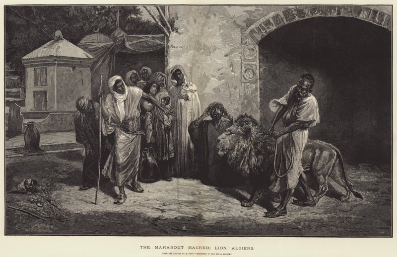Le lion sacré Marabout, Alger - Eugene Pavy
