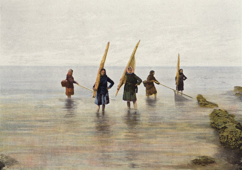 La pêche aux crevettes - European Photographer