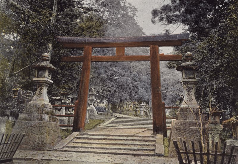 Torii d
