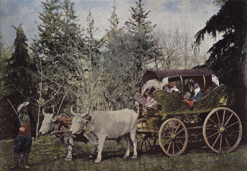 Voiture de promenade des dames turques - European Photographer