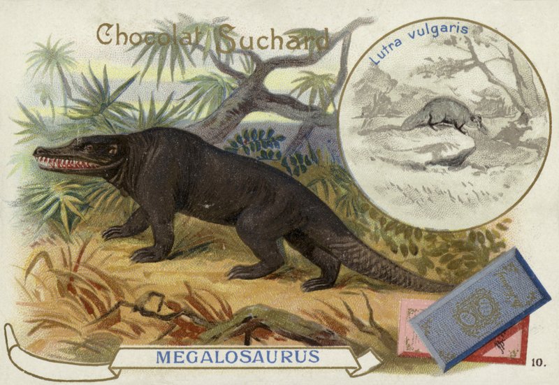 Mégalosaure et loutre - European School