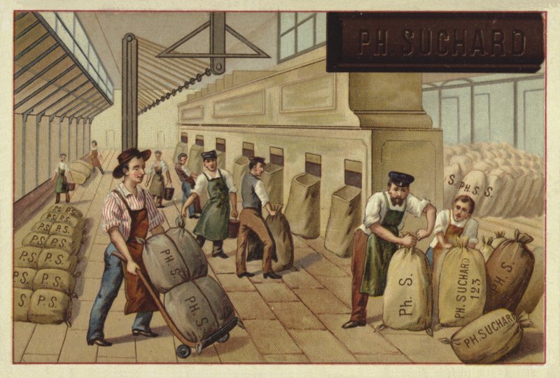 Emballage de sacs de cacao dans une usine - European School