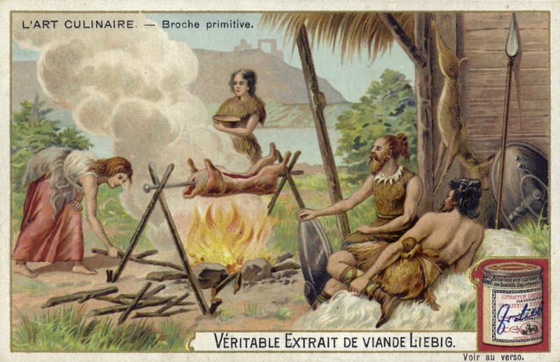 Rôtissoire primitive - European School