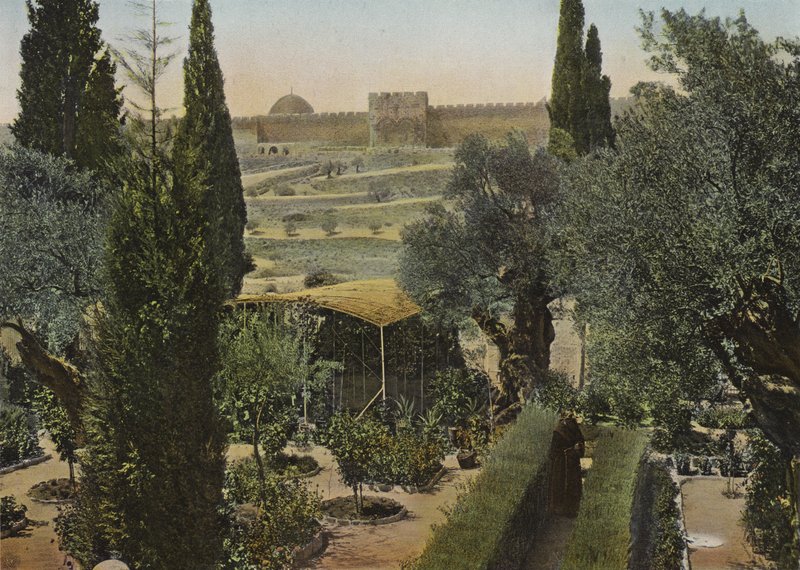 Jardin de Gethsémani - European Photographer
