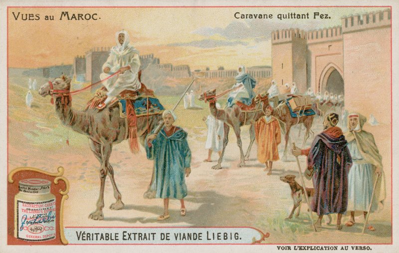 Une caravane quittant Fès - European School