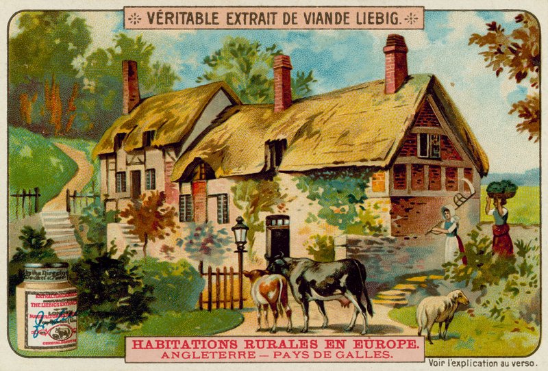 Ferme galloise - European School