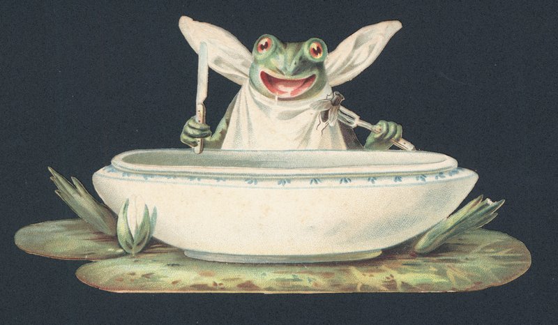 Une grenouille mangeant une mouche (lithographie couleur) - European School