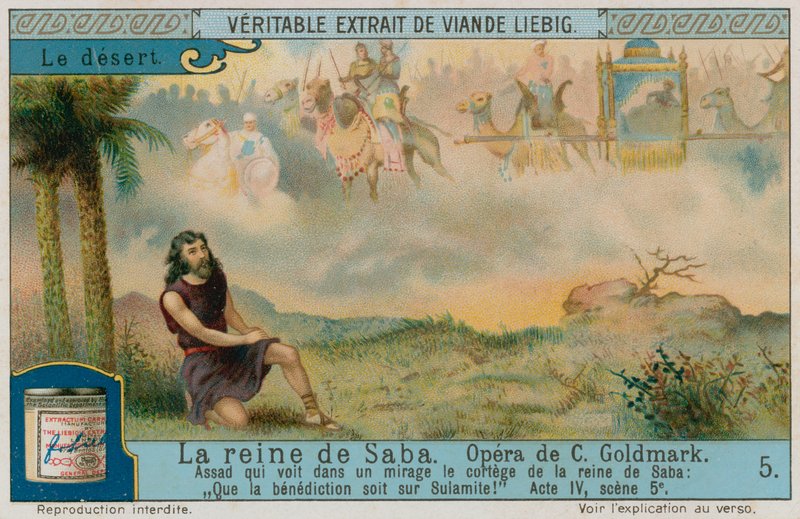 Assad dans le désert avec la caravane de la reine de Saba - European School