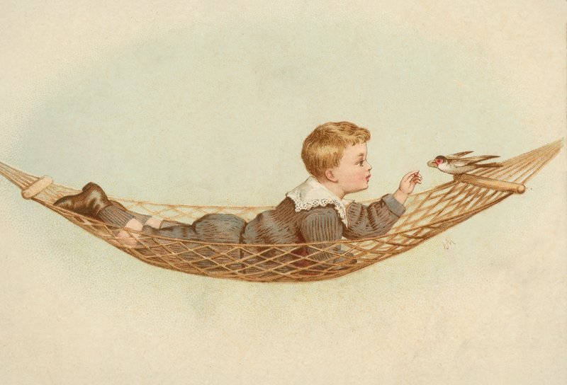 Garçon allongé dans un hamac nourrissant un oiseau - European School