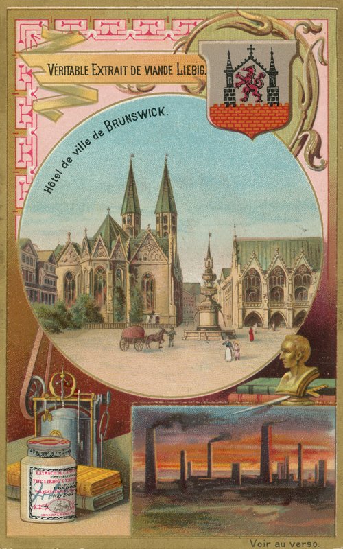 Brunswick - European School