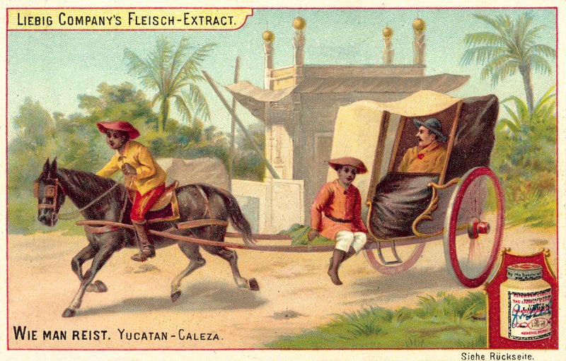 Caleza au Yucatan - European School