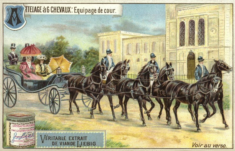 Carrosse tiré par six chevaux - European School