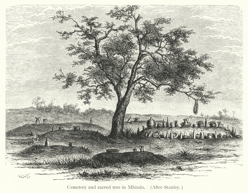 Cimetière et arbre sacré à Mbinda - European School