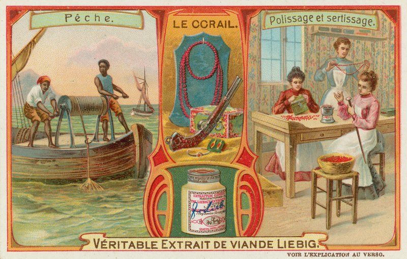 Corail - European School