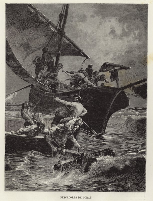 Pêcheurs de corail - European School