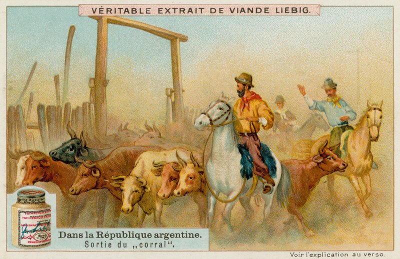 Rassemblement de bétail - European School