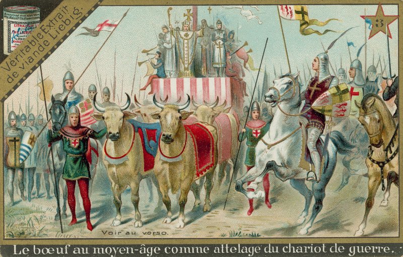 Vaches au Moyen Âge - European School