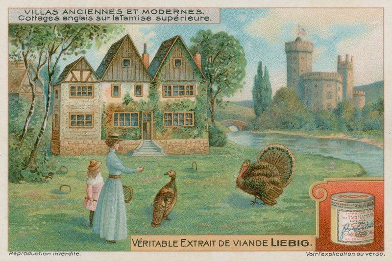 Cottages anglais sur la haute Tamise - European School