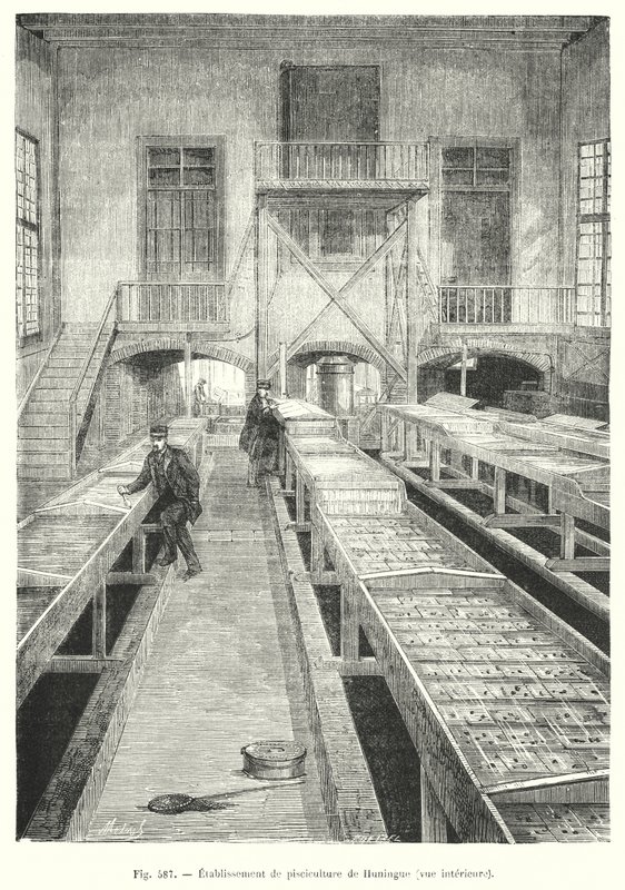 Établissement de pisciculture de Huningue, vue intérieure - European School