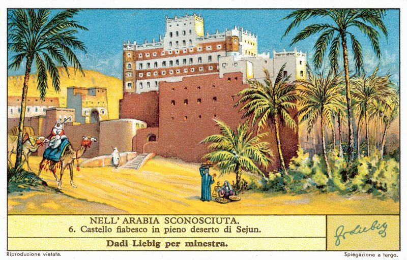Château de conte de fées dans le désert à Sejun - European School