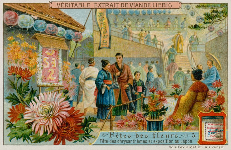 Festivals des Chrysanthèmes au Japon - European School