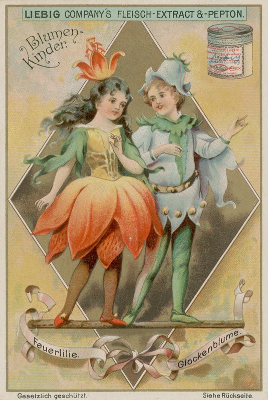 Lys de feu et Jacinthe des bois - European School
