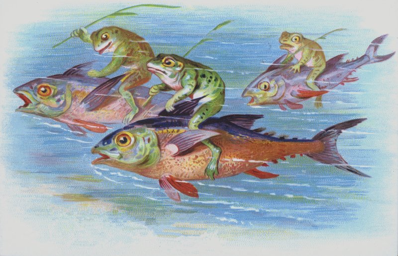 Grenouilles chevauchant des poissons (chromolitho) - European School