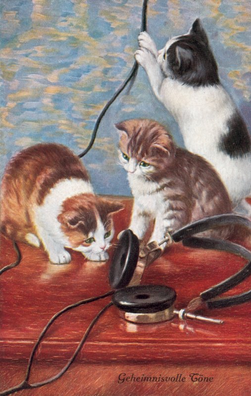 Carte postale humoristique sur les chats (lithographie couleur) - European School