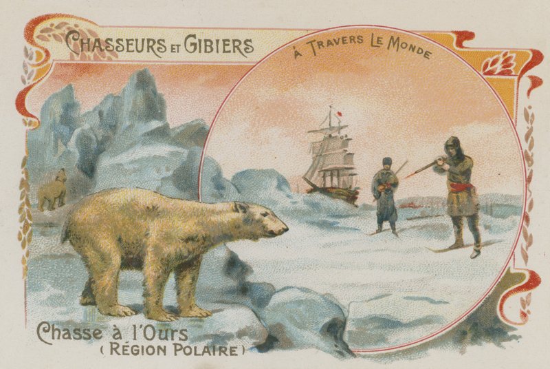 Chasse aux ours polaires - European School