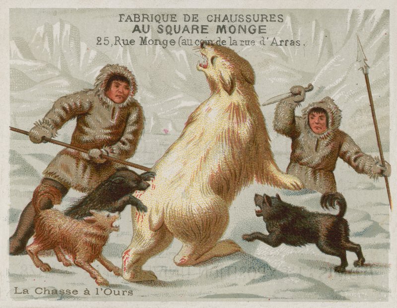 Chasse aux ours polaires avec des chiens - European School