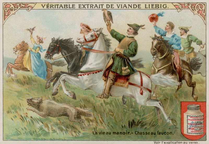 Chasse au faucon - European School