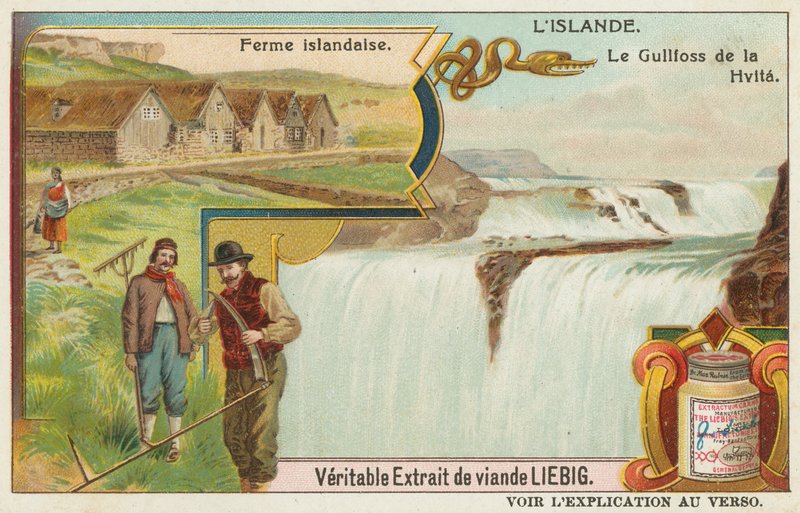 Ferme islandaise et la Gullfoss (Chutes d