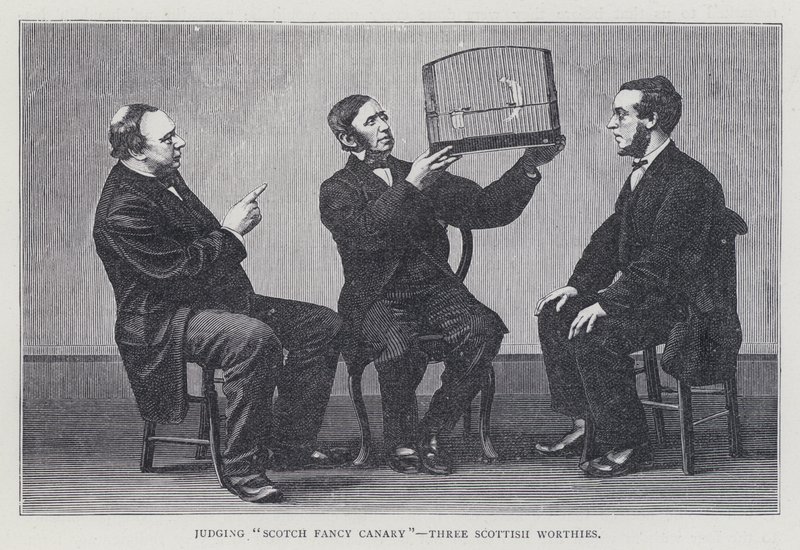 Jugement "Canari écossais de fantaisie", Trois dignitaires écossais - European School