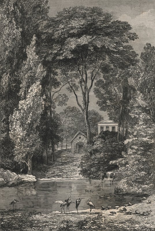 La Vallée Suisse au Jardin des Plantes de Paris - European School