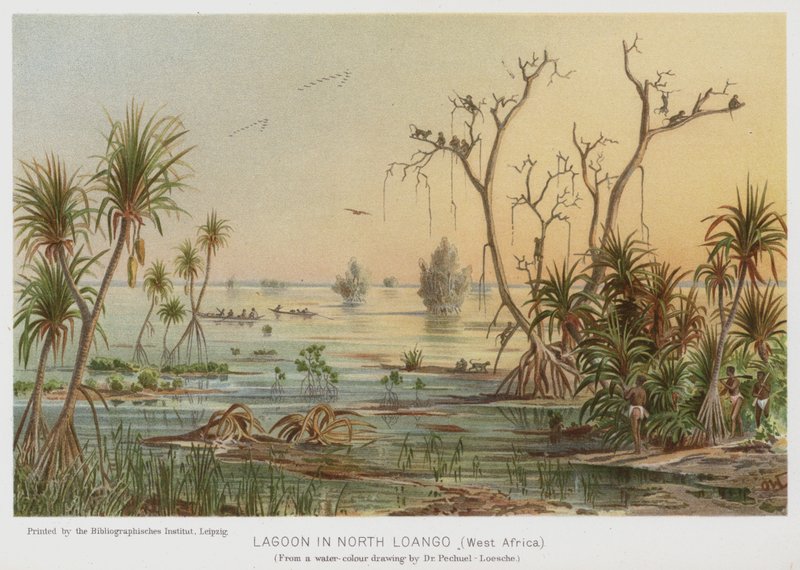 Lagune au nord de Loango, Afrique de l