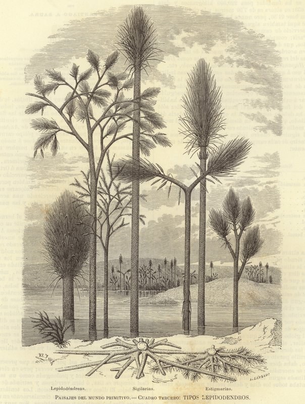 Paysages du monde primitif - European School